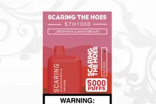 JPEGMAFIA Danny Brown Scaring The Hoes DLC Pack Stream