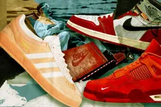 Sneaker Cover 1